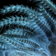Image for article titled Feather scales, pollen grains, and a single teardrop: what photos of the microscopic world reveal